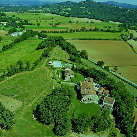 Gasthaus Agriturismo Il Sasso Anghiari Exterior foto