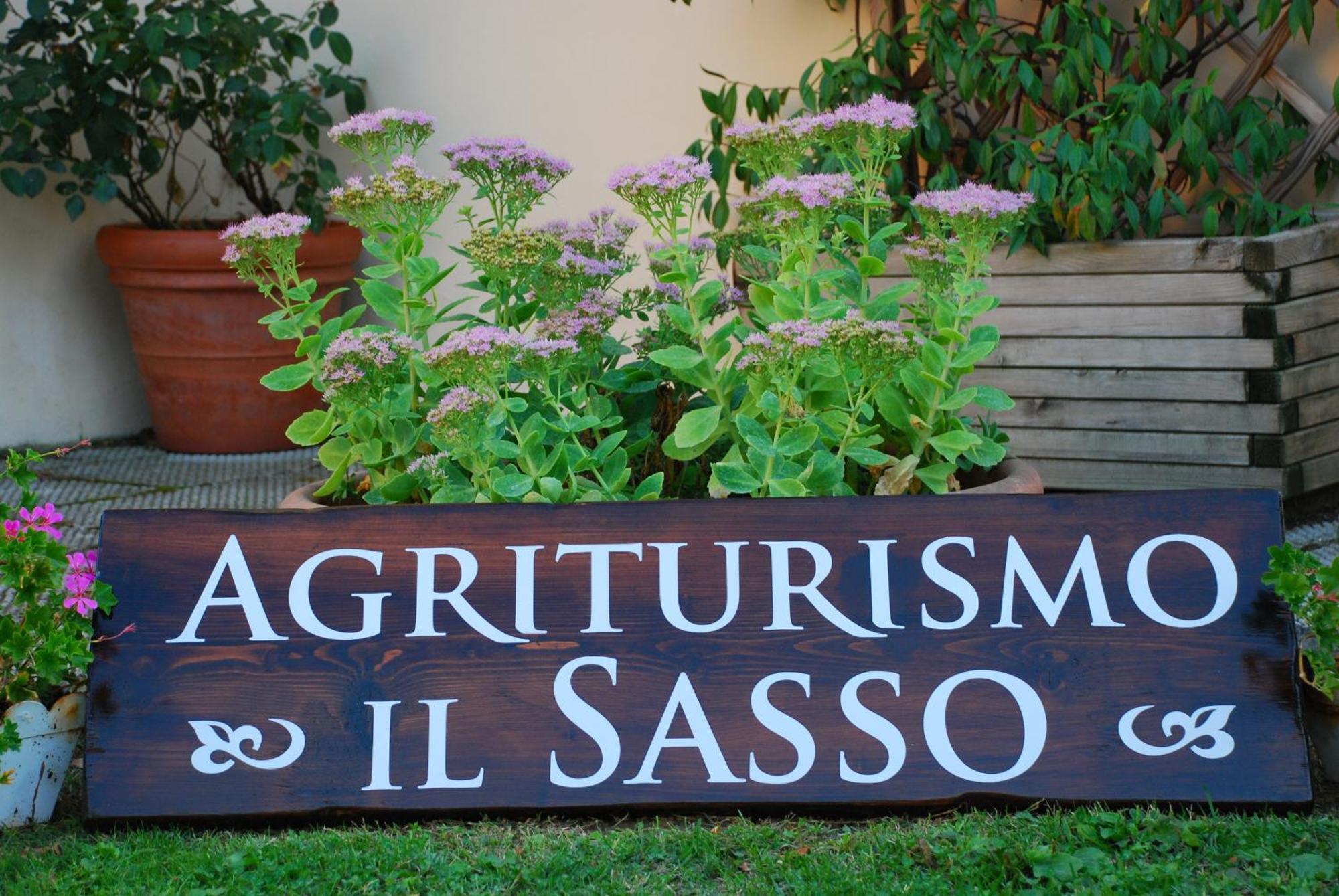 Gasthaus Agriturismo Il Sasso Anghiari Exterior foto